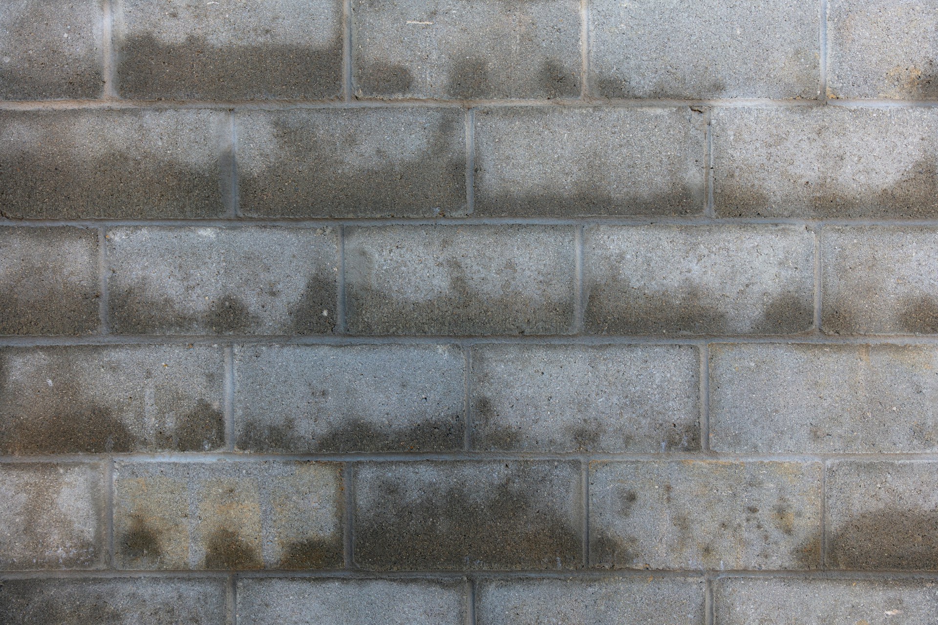 Rising damp visible on an exterior wall with moisture staining spreading through the masonry