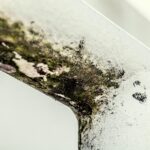 Black mould growth on an interior window frame caused by condensation