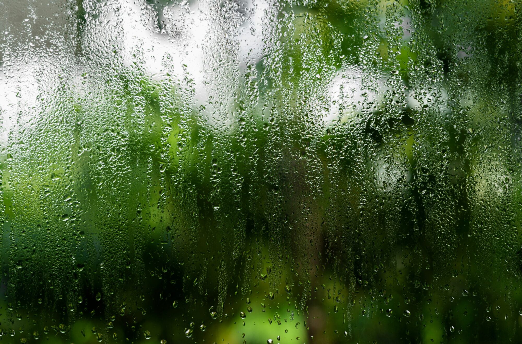 Condensation droplets forming on an interior glass surface due to high humidity