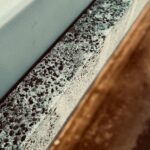 Mould formation around glazing caused by excess indoor moisture